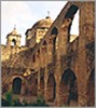 2005 Annual Meeting of the American Academy of Asthma, Allergology and Immunology: Focus on Dermatological Conditions